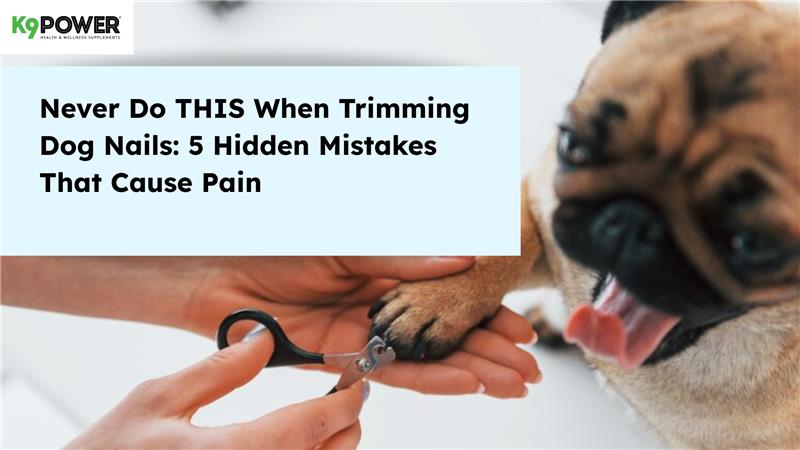 Never Do THIS When Trimming Dog Nails: 5 Hidden Mistakes That Cause Pain
