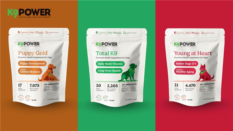 How to Choose the Right Supplement for Your Dog