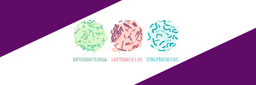 Which is the Best Dog Probiotic?