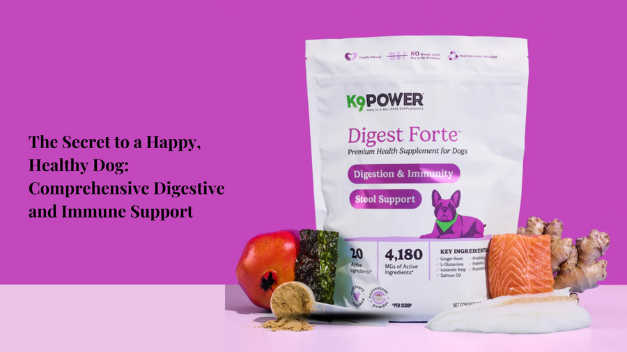The Secret to a Happy, Healthy Dog: Comprehensive Digestive and Immune Support