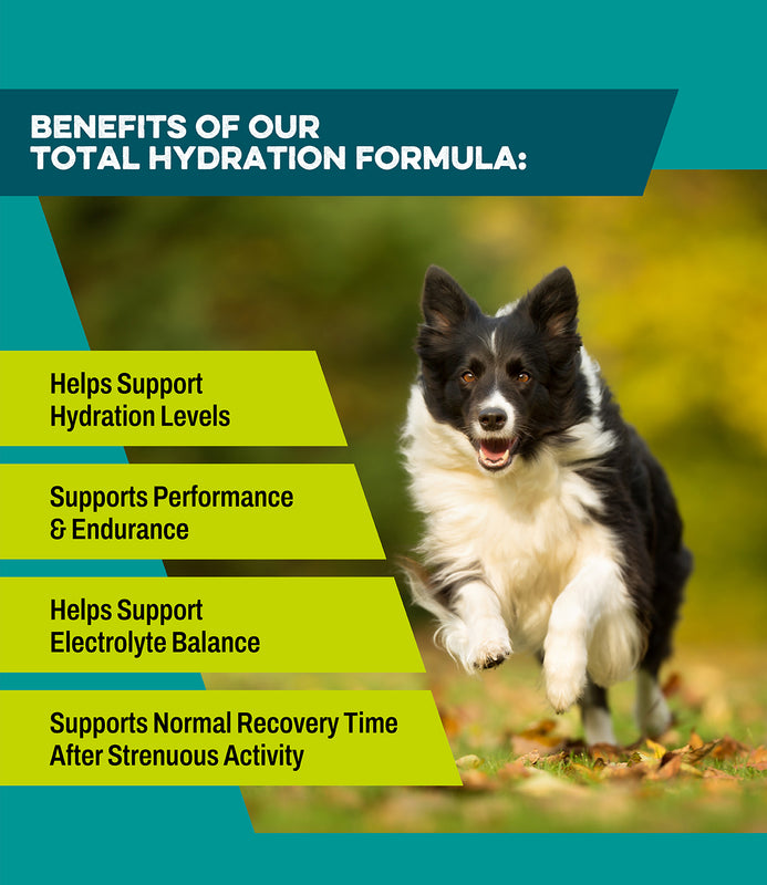 hydration formula