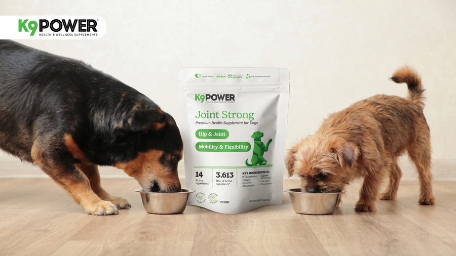 A large dog and small terrier eating from bowls beside K9 Power Joint Strong supplement bag for hip and joint health