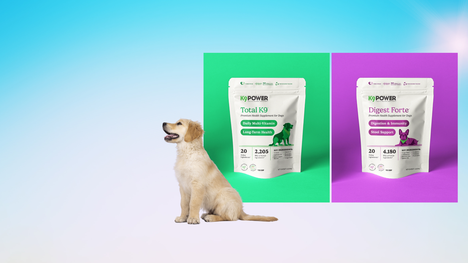 Is Your Dog Getting the Right Nutrition? Signs to Watch and How to Fix Them