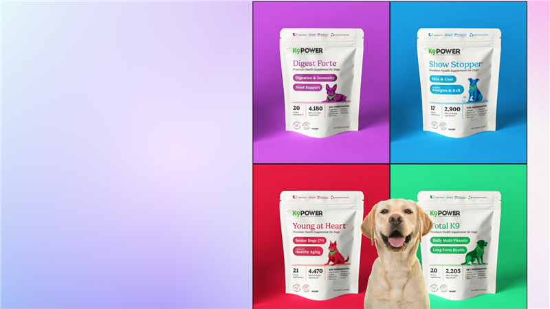 Top 7 Supplements Every Dog Should Have in Their Diet: A Must-Read for Every Pet Parent