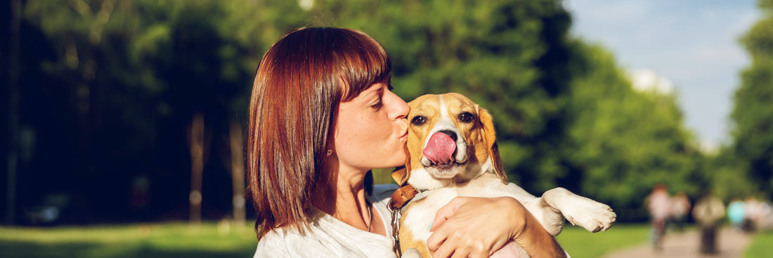 What It’s Like Fostering A Dog