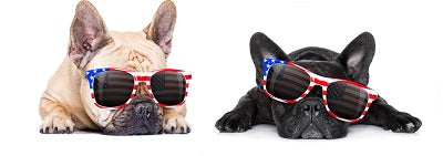 4 Tips To Keep Your Dog Safe On July 4th