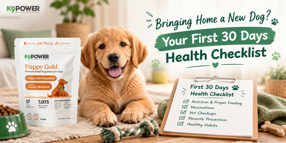 K9 Power Puppy Gold supplement beside a smiling golden retriever puppy, new dog first 30-day health checklist on a clipboard.