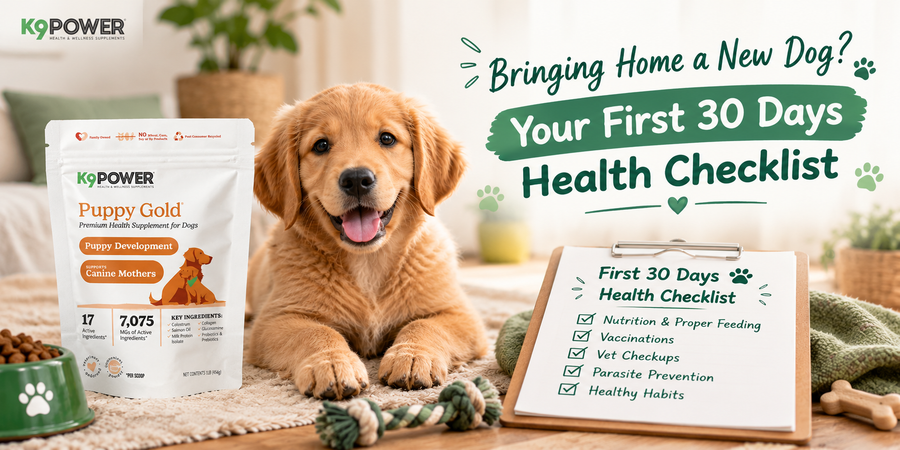 K9 Power Puppy Gold supplement beside a smiling golden retriever puppy, new dog first 30-day health checklist on a clipboard.