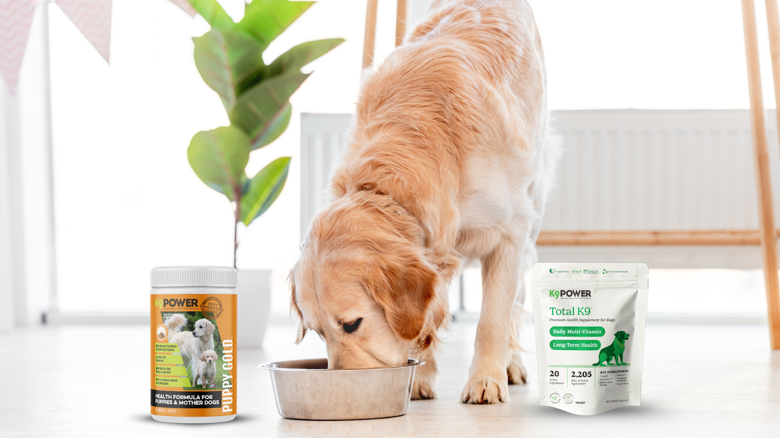 Keep Your Dog Happy and Healthy with These Essential Supplements!
