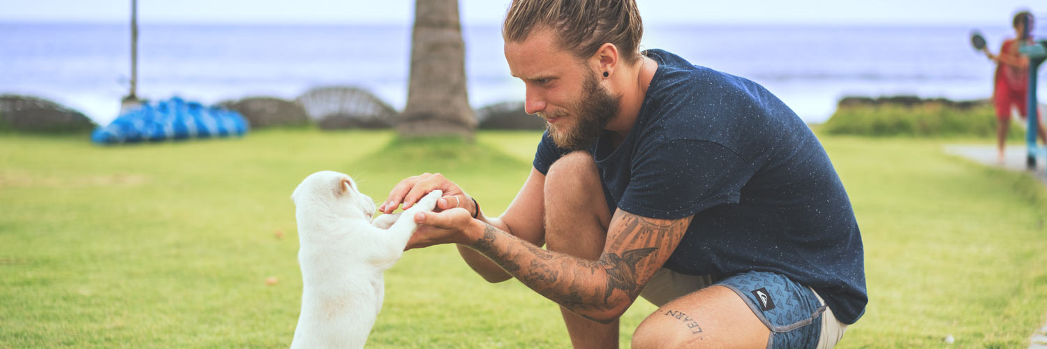 10 Ways Dogs Are Better Than Humans
