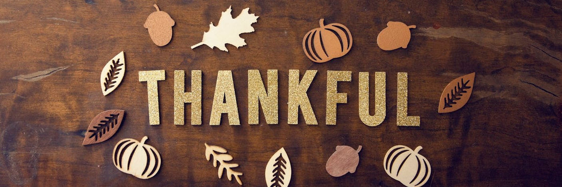 Credit: https://petcentral.chewy.com/dogs-thanksgiving-dangerous-foods-dogs-keep-away/