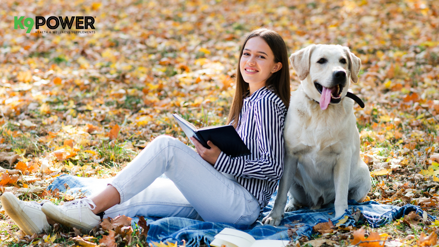 Why Do Dogs Eat Grass? The Surprising Truth Behind The Habit