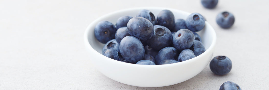 Can My Dog Eat Blueberries?