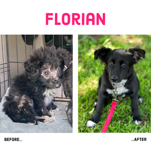 Florian before and after 