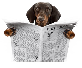 READ ALL ABOUT US!