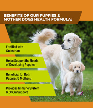 benefits of puppy gold