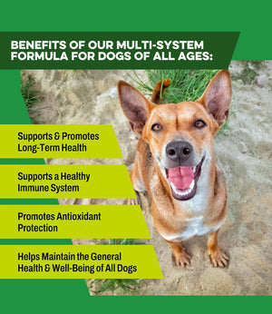 benefits of total k9