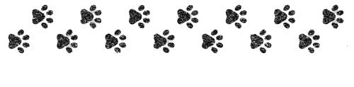 Paws