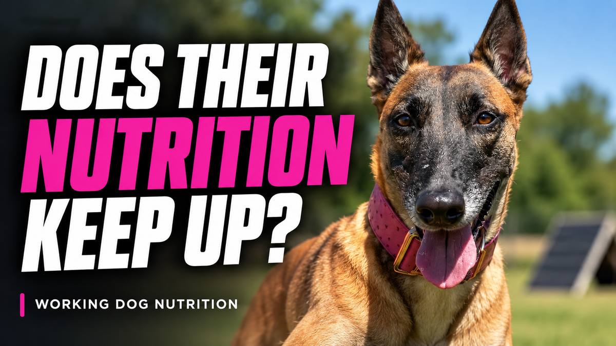 K9 Power - Super Fuel™